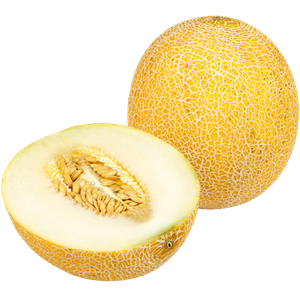 Melon PNG-14391